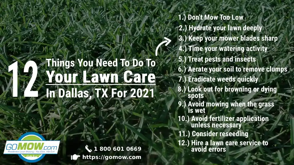 12 Things You Need To Do To Your Lawn Care In Dallas, TX For 2021