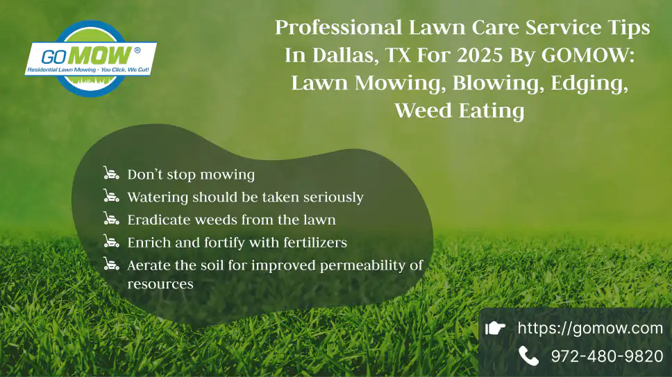 Professional Lawn Care Service Tips In Dallas, TX For 2025 By GOMOW: Lawn Mowing, Blowing, Edging, Weed Eating