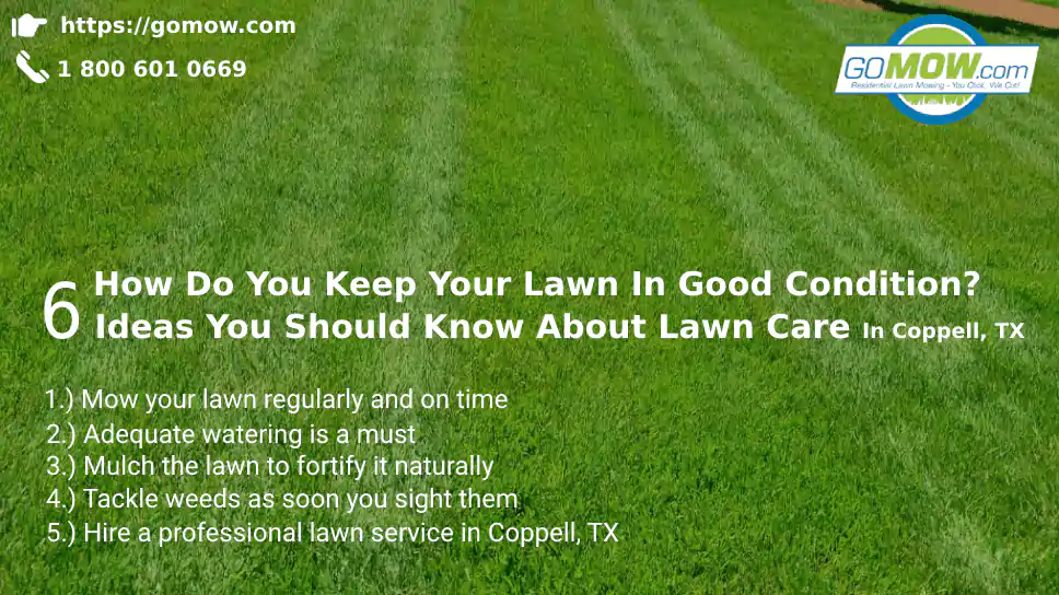 How Do You Keep Your Lawn In Good Condition? 6 Ideas You Should Know About Lawn Care In Coppell, TX
