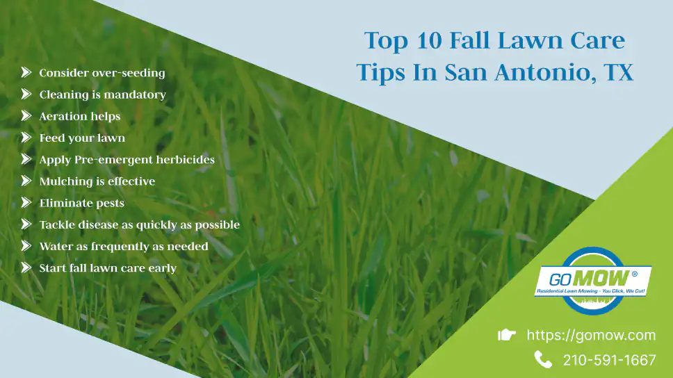 Top 10 Fall Lawn Care Tips In San Antonio, TX