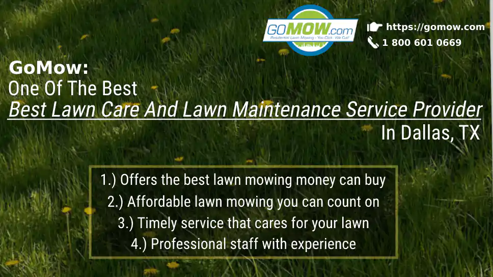 gomow-one-of-the-best-lawn-care-and-lawn-maintenance-service-provider-in-dallas-tx