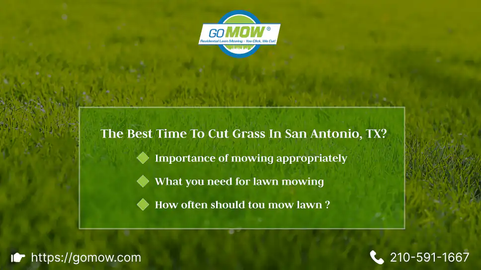 The Best Time To Cut Grass In San Antonio, TX?