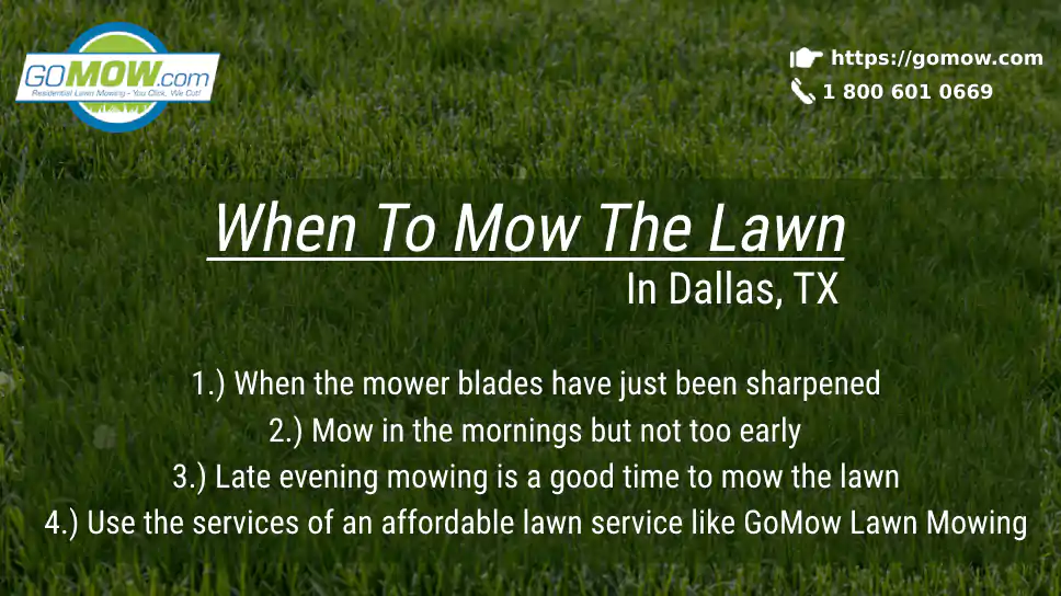 When To Mow The Lawn In Dallas, TX