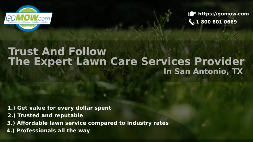 Trust And Follow The Expert Lawn Care Services Provider In San Antonio, TX