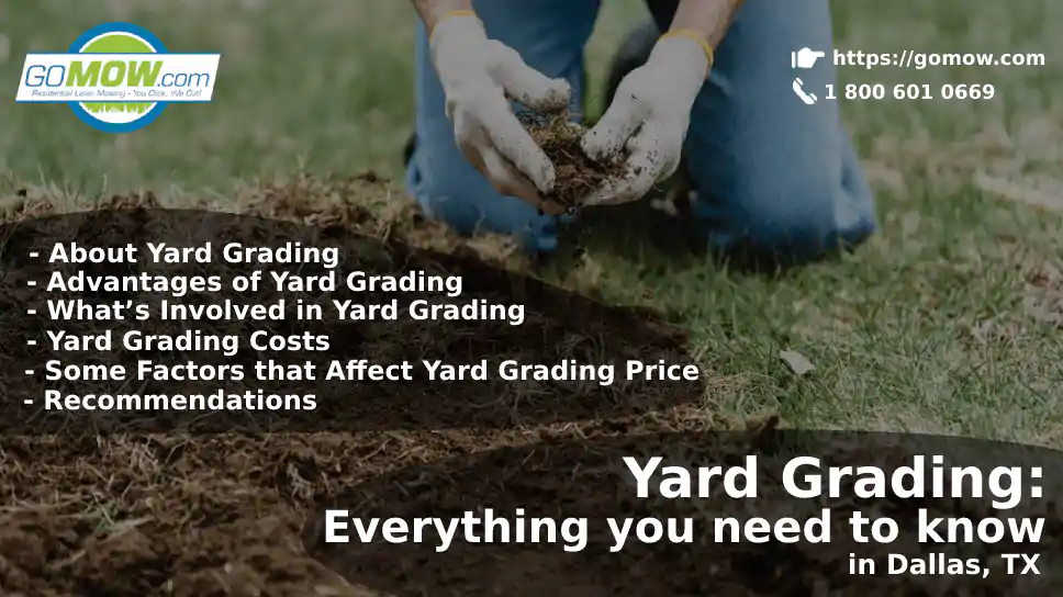 Yard Grading: Everything You Need To Know In Dallas, TX