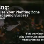 planting-how-to-use-your-planting-zone-for-landscaping-success-in-texas-for-2022