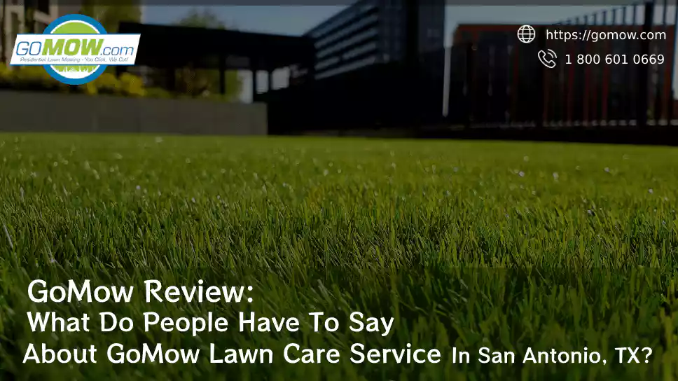 GoMow Review: What Do People Have To Say About GoMow Lawn Care Service In San Antonio, TX?