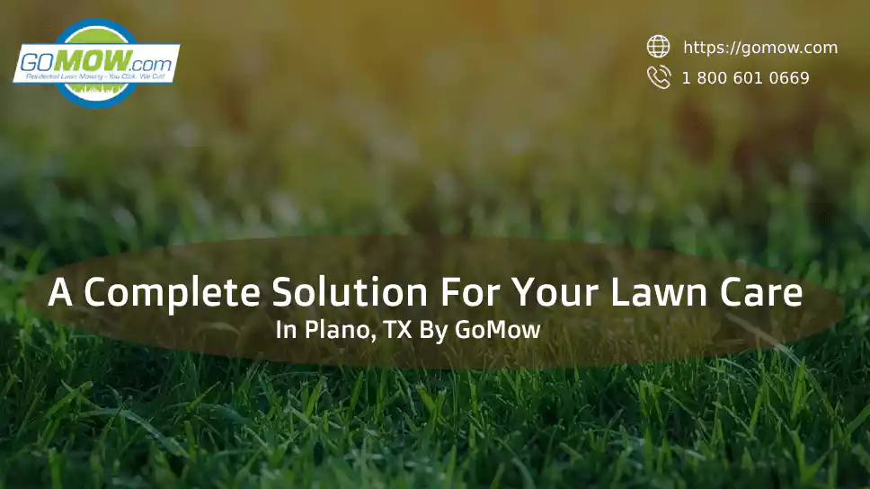 A Complete Solution For Your Lawn Care In Plano, TX By GoMow