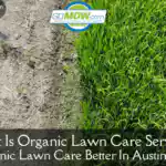what-is-organic-lawn-care-service-is-organic-lawn-care-better-in-austin-tx