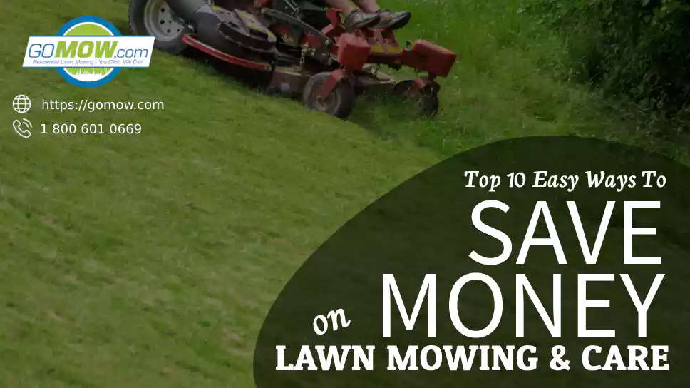 Top 10 Easy Ways To Save Money On Lawn Mowing & Care