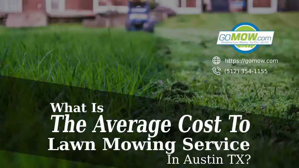 What Is The Average Cost Of Lawn Mowing Service In Austin Or Dallas TX?