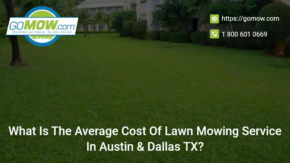 What Is The Average Cost Of Lawn Mowing Service In Austin And Dallas TX?