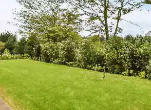gomow-schertz Lawn Mowing