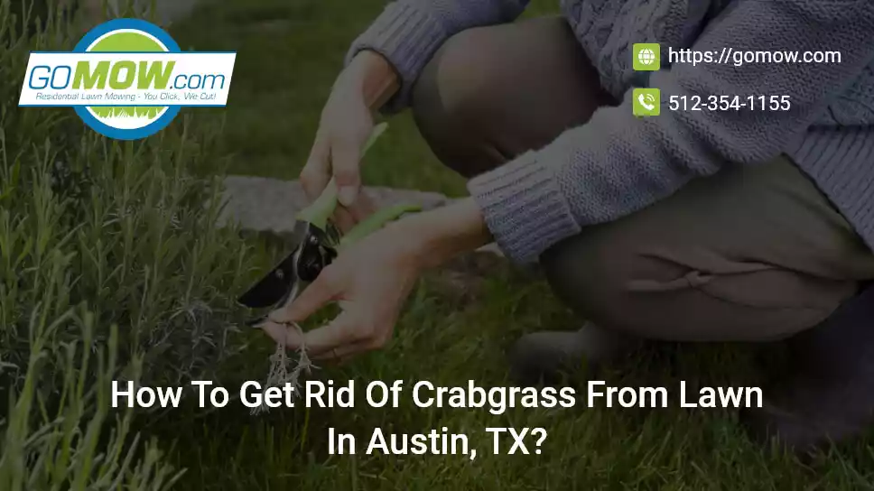 Lawn Care Guide: How To Get Rid Of Crabgrass From Lawn In Austin, TX?