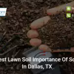 how-to-test-lawn-soil-importance-of-soil-testing-in-dallas-tx
