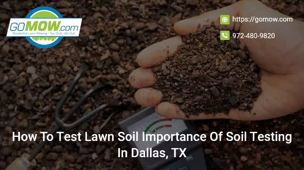 How To Test Lawn Soil? Importance Of Soil Testing In Dallas, TX