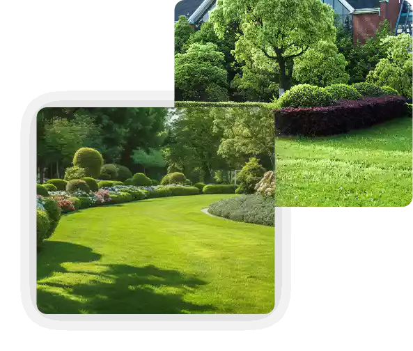 Affordable Lawn Care Service In Texas Areas