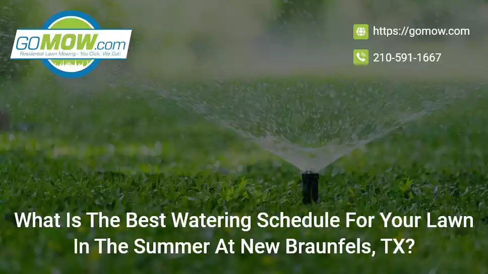 what-is-the-best-watering-schedule-for-your-lawn-in-the-summer-at-new-braunfels-tx