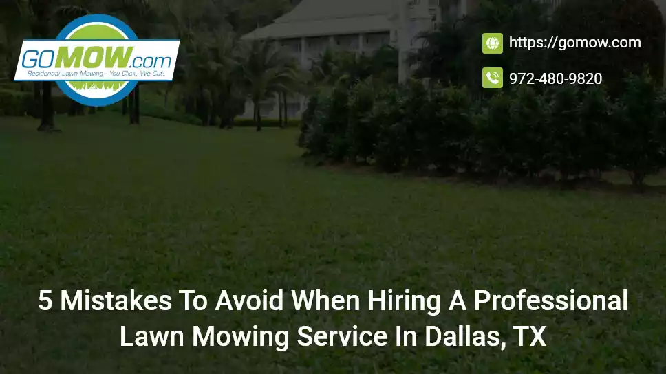 5 Mistakes To Avoid When Hiring A Professional Lawn Mowing Service In Dallas, TX
