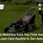 can-mulching-save-you-time-and-money-in-your-lawn-care-routine-in-san-antonio-tx