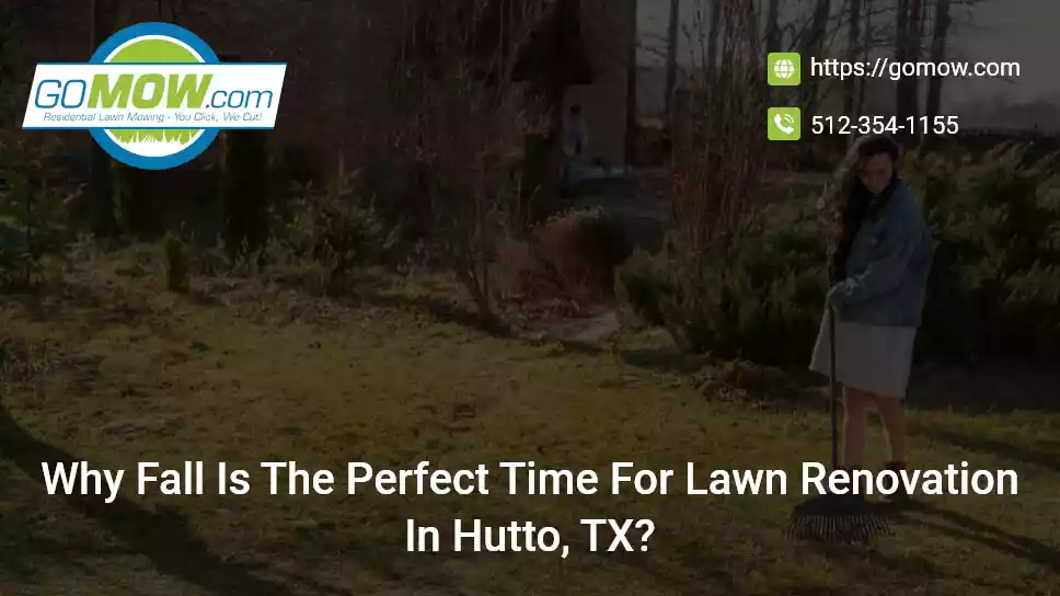 Why Fall Is The Perfect Time For Lawn Renovation In Hutto, TX?