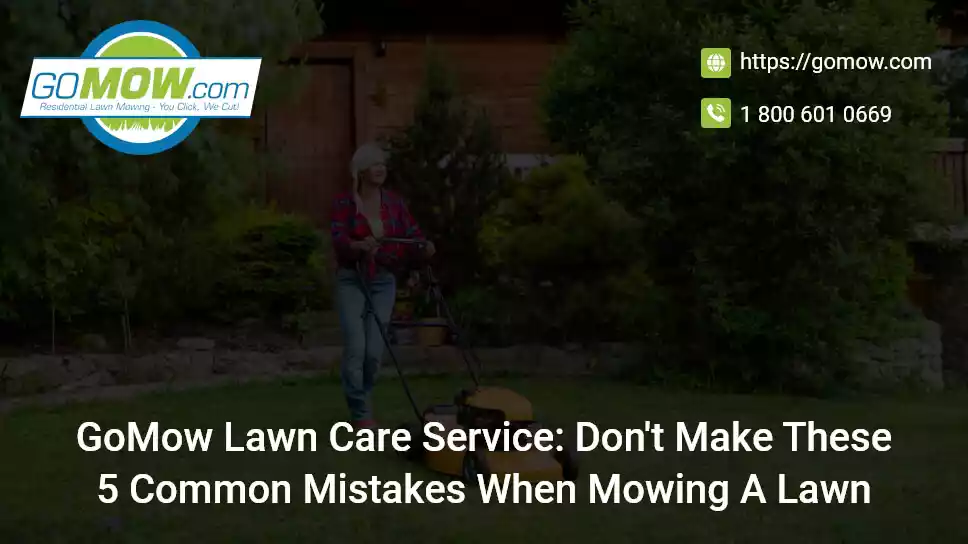 gomow-lawn-care-service-dont-make-these-5-common-mistakes-when-mowing-a-lawn