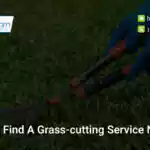 how-do-i-find-a-grass-cutting-service-near-me