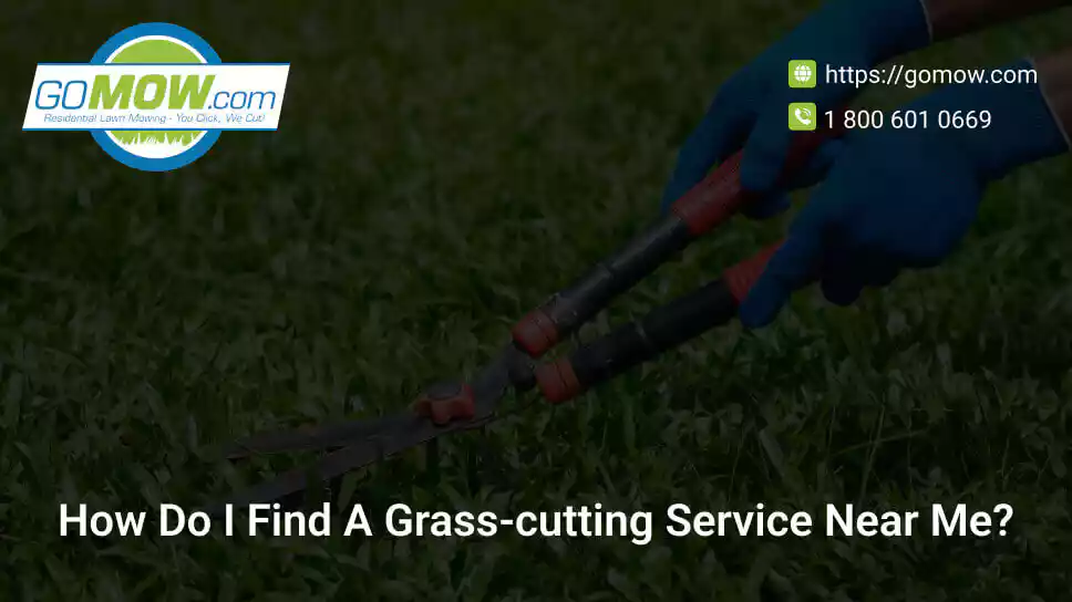 how-do-i-find-a-grass-cutting-service-near-me