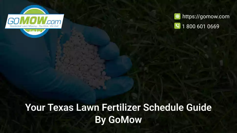 Your Texas Lawn Fertilizer Schedule Guide By GoMow
