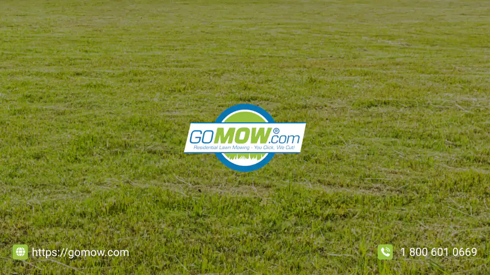 5 Expert Lawn Maintenance Tips For Greener Grass In Texas: The Ultimate Lawn Maintenance Guide