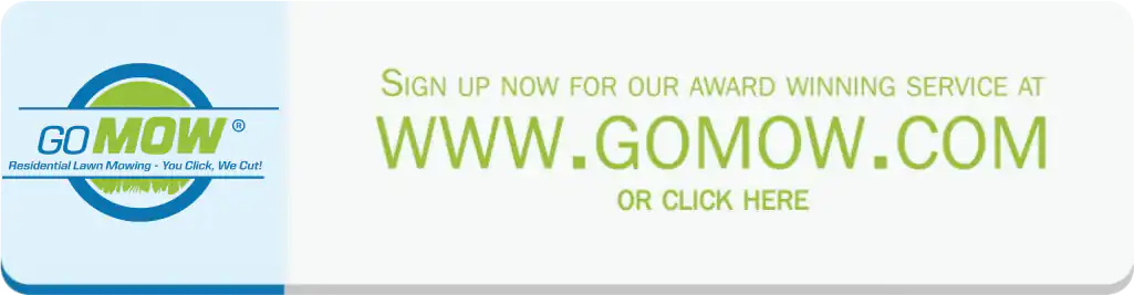 call-to-action-gomow call-to-action-gomow