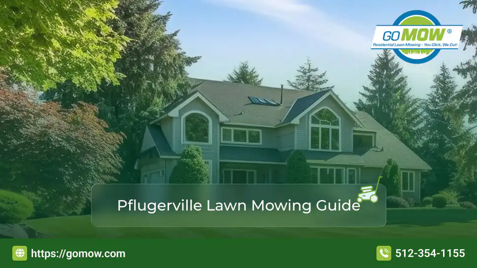 how-often-should-you-schedule-lawn-mowing-service-in-pflugerville-tx