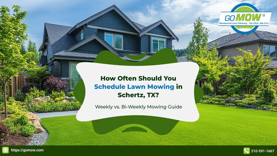how-often-should-you-schedule-lawn-mowing-in-schertz-tx